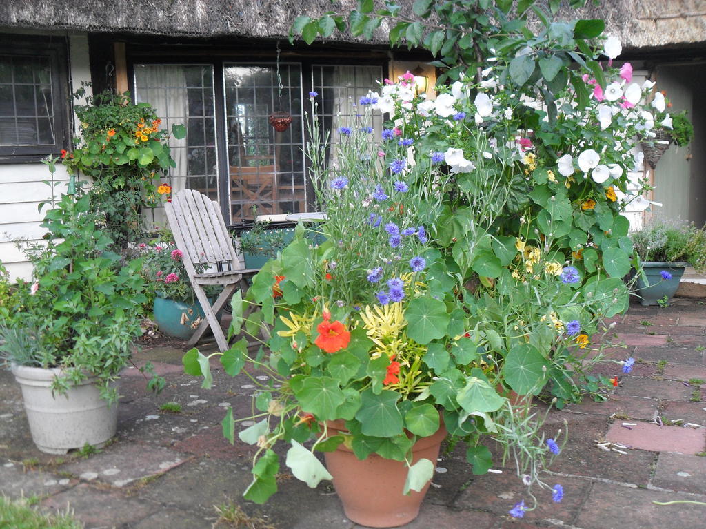 Church Hall Farm Bed And Breakfast Broxted Zewnętrze zdjęcie